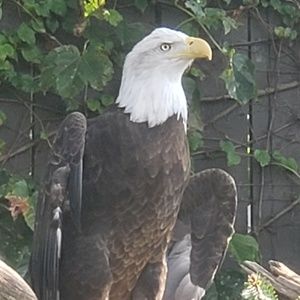 Meet your Posher, Dena